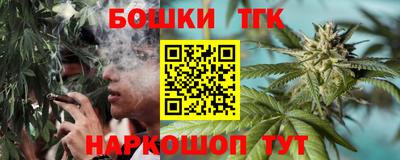 МДПВ Славгород