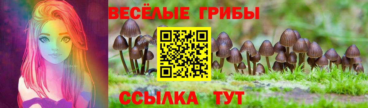 Псилоцибиновые грибы GOLDEN TEACHER  Вход с VPN  Орёл 